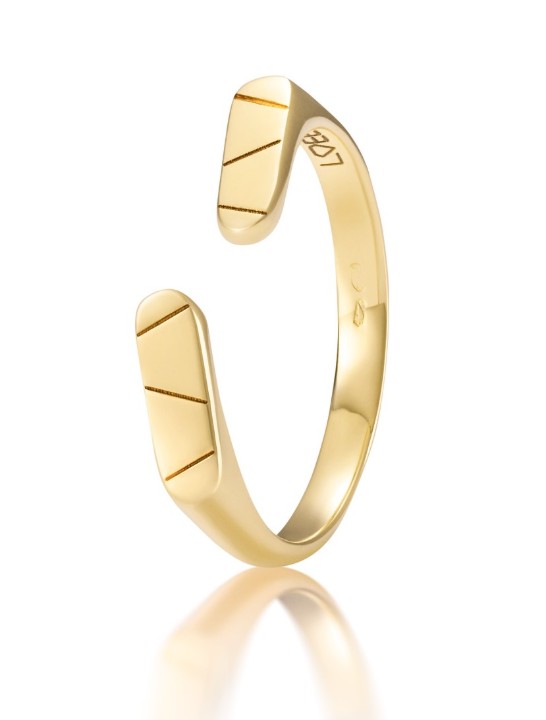Bild von Ring LOEE AVA aus Gelbgold