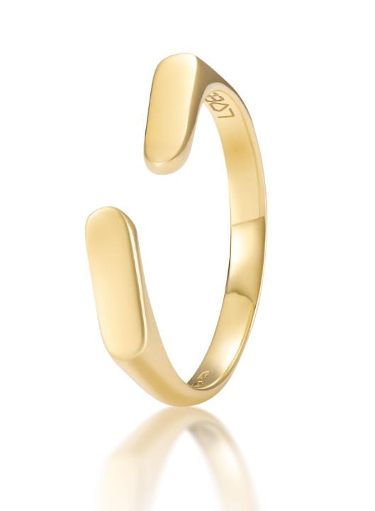 Bild von Ring LOEE AVA aus Gelbgold
