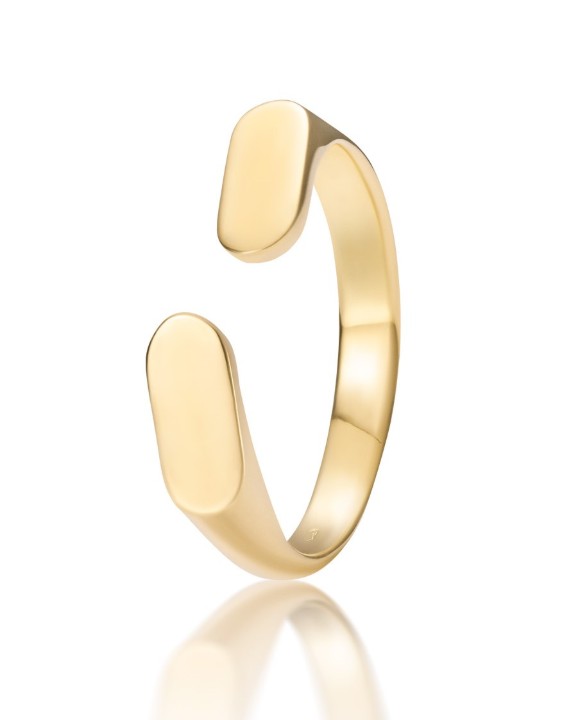 Bild von Ring LOEE AVA aus Gelbgold