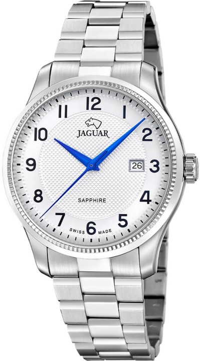 Bild von Jaguar Acamar