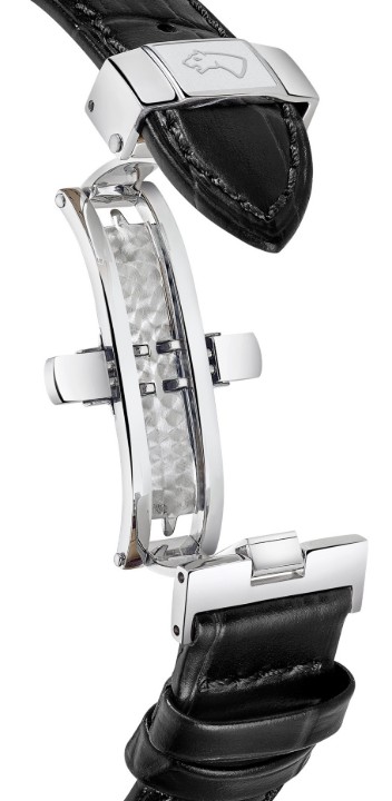 Bild von Jaguar Acamar