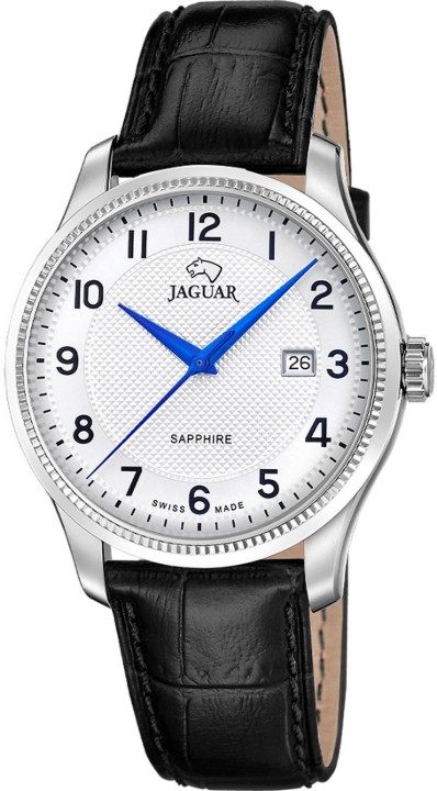 Bild von Jaguar Acamar