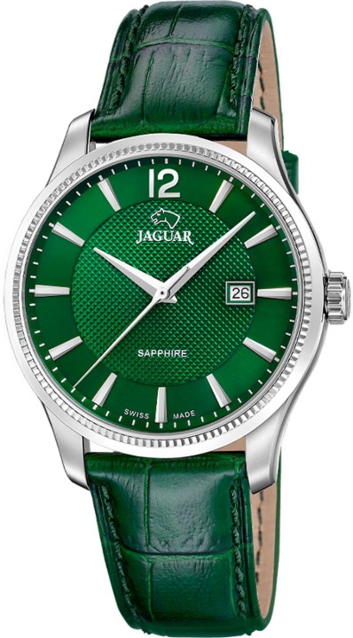 Bild von Jaguar Acamar