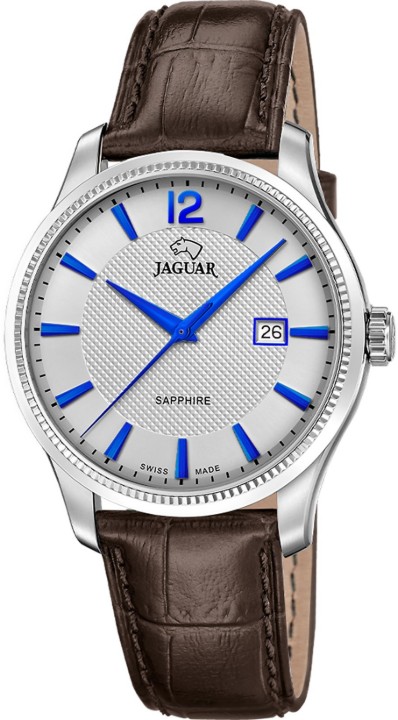 Bild von Jaguar Acamar