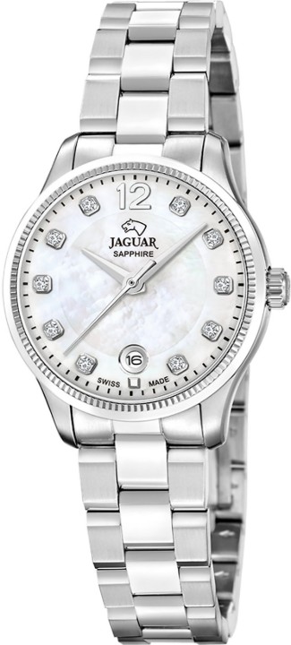 Bild von Jaguar Acamar