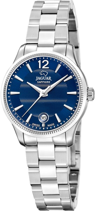 Bild von Jaguar Acamar