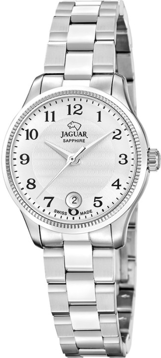Bild von Jaguar Acamar