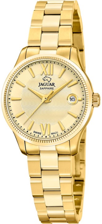 Bild von Jaguar Acamar