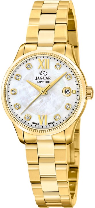 Bild von Jaguar Acamar