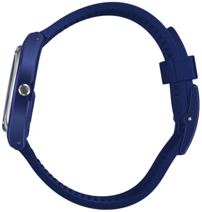 Bild von Swatch Silver in Blue