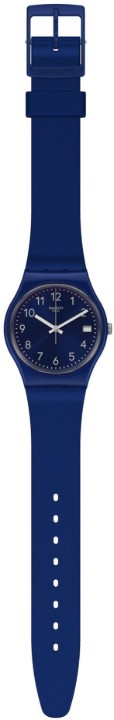 Bild von Swatch Silver in Blue