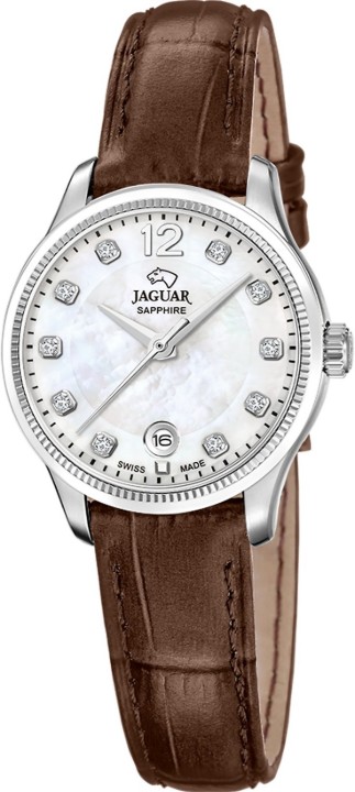 Bild von Jaguar Acamar