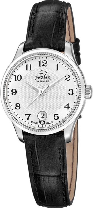 Bild von Jaguar Acamar
