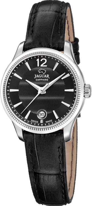 Bild von Jaguar Acamar