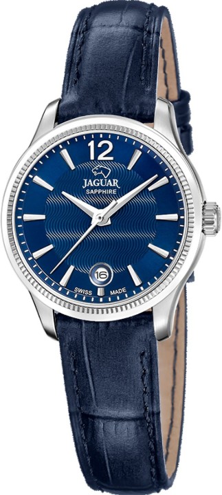 Bild von Jaguar Acamar