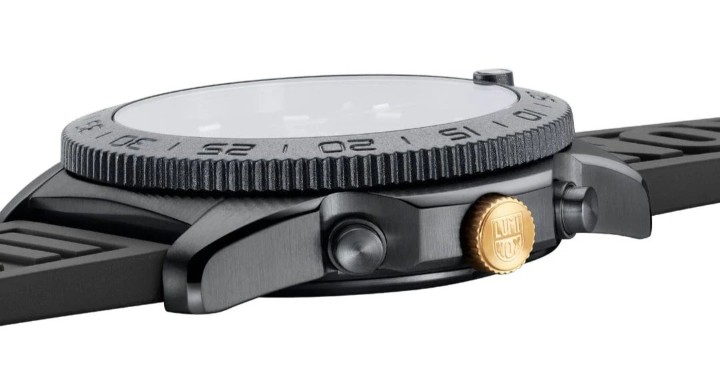 Bild von Luminox Pacific Diver Chronograph SNAKE YEAR Limited Edition