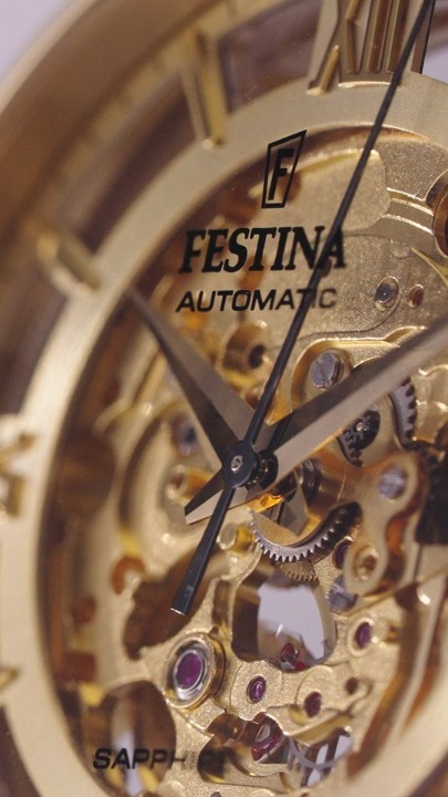 Bild von Festina Automatic Skeleton