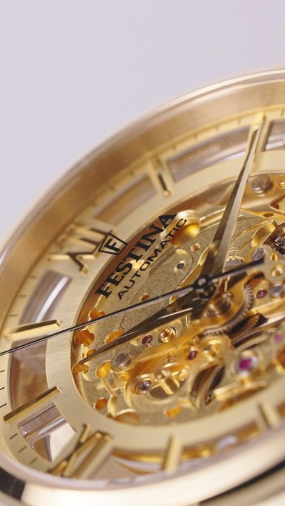 Bild von Festina Automatic Skeleton