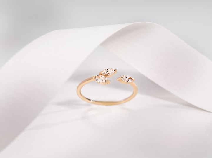 Bild von Ring LOEE Gaia aus Roségold mit Diamanten