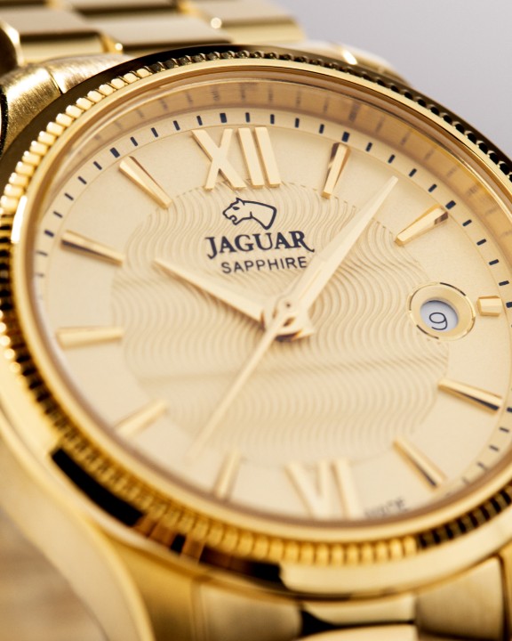 Bild von Jaguar Acamar
