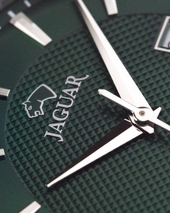 Bild von Jaguar Acamar