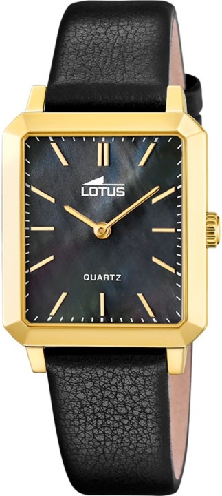 Bild von Lotus Square Series