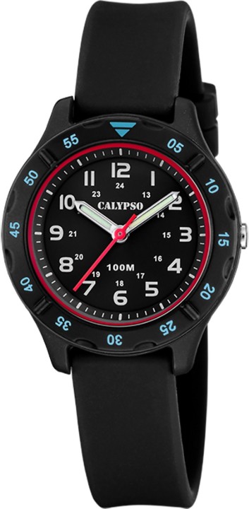 Bild von Calypso Junior