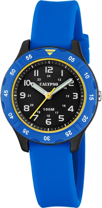 Bild von Calypso Junior