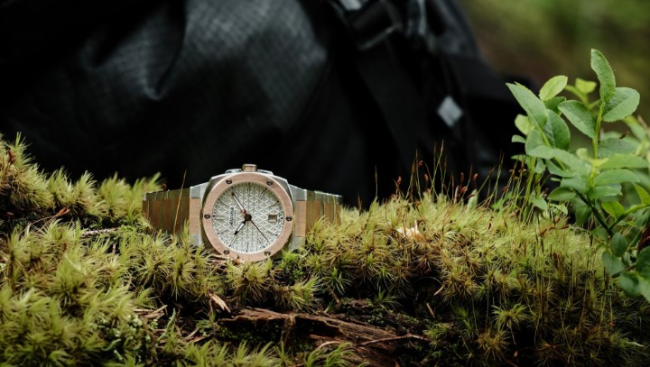 Bild von Alpina Alpiner Extreme Quartz