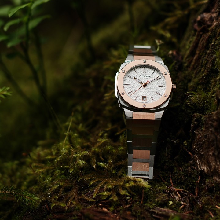 Bild von Alpina Alpiner Extreme Quartz