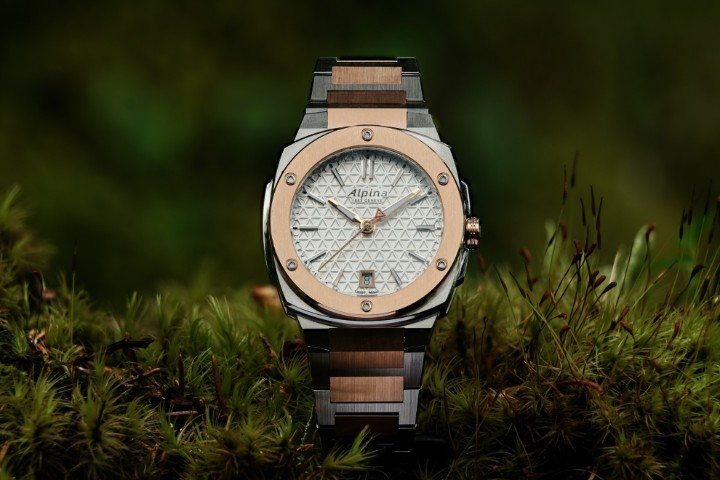 Bild von Alpina Alpiner Extreme Quartz