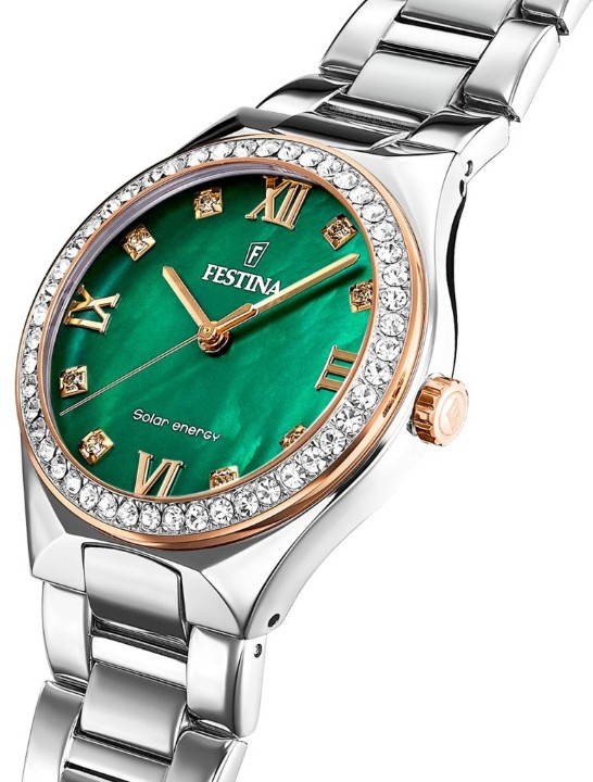 Bild von Festina Solar Energy