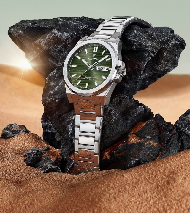 Bild von Festina Swiss Made