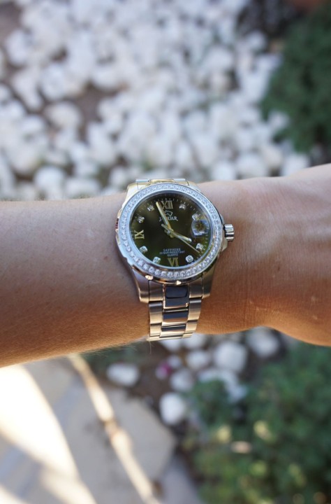 Bild von Jaguar Executive Diver