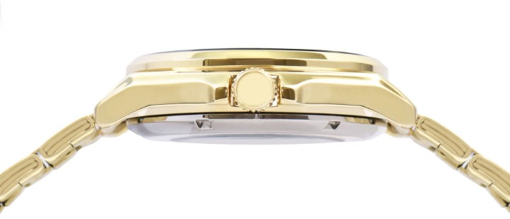 Bild von Lorus Automatic