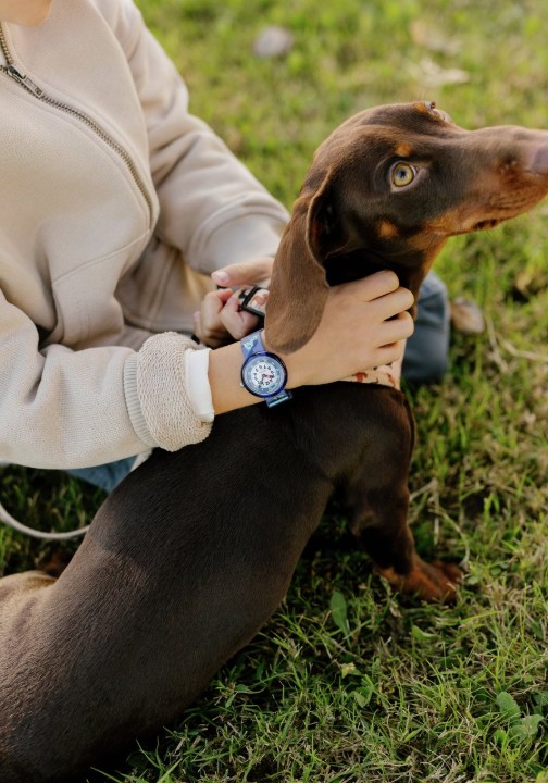 Bild von Flik Flak Cutie Puppy