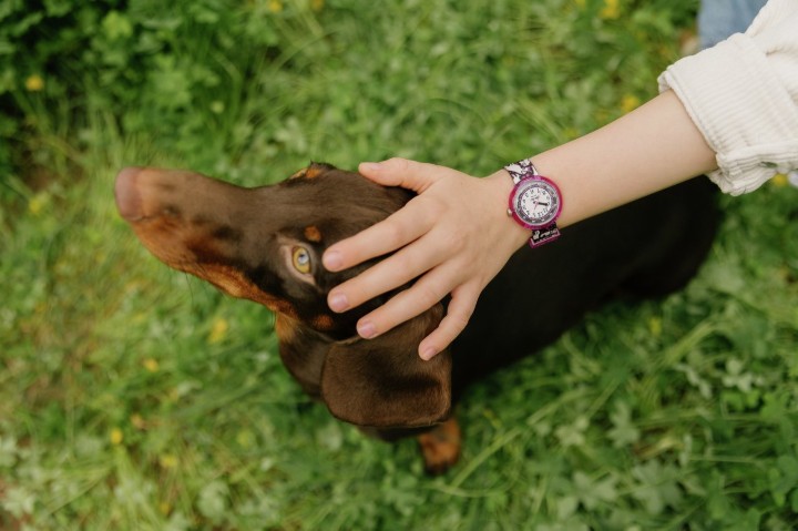 Bild von Flik Flak Woof Woof Time