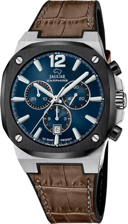 Bild von Jaguar Rondcarre