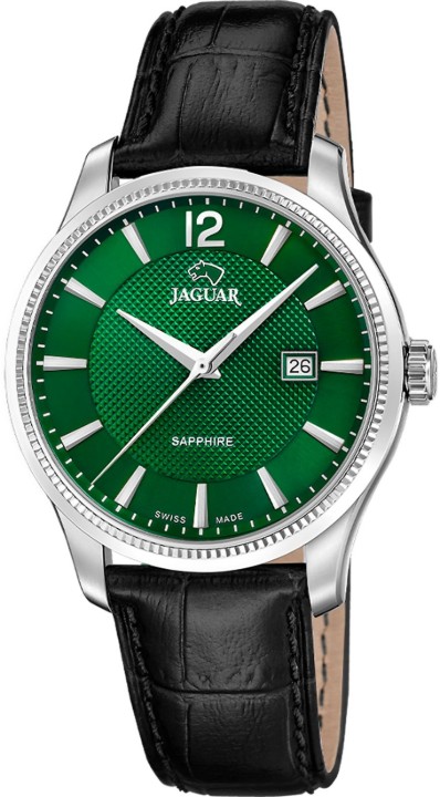 Bild von Jaguar Acamar