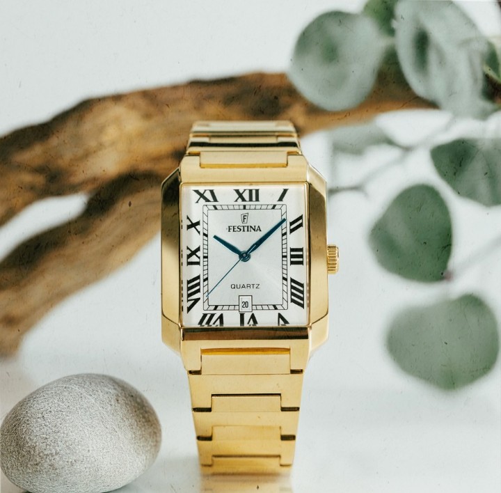 Bild von Festina Classics