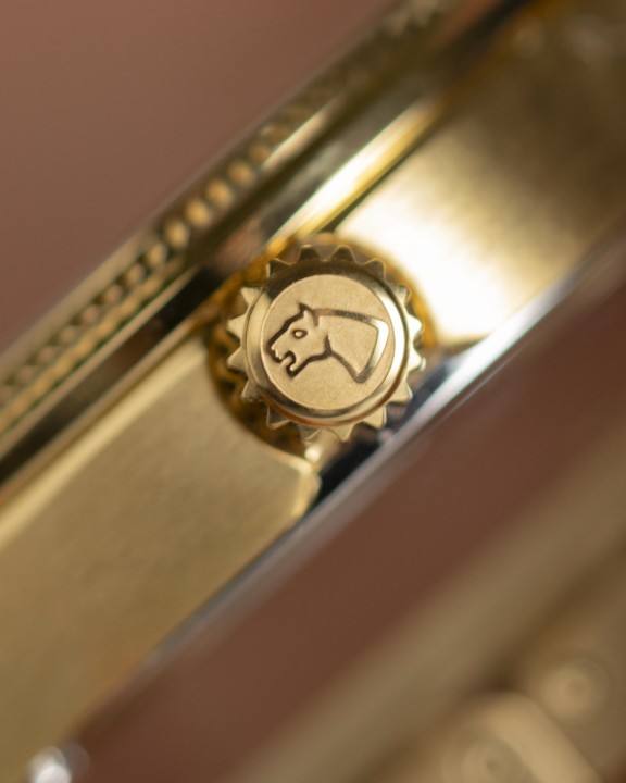 Bild von Jaguar Acamar
