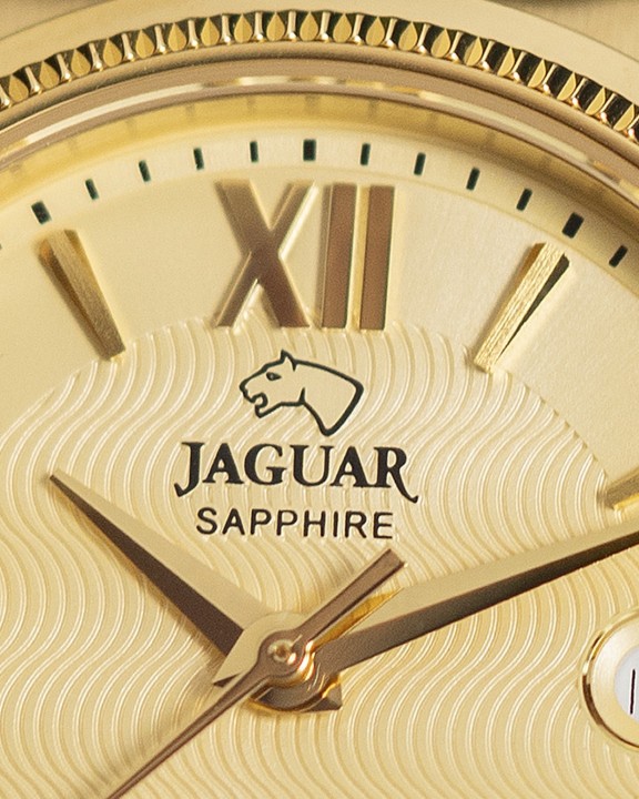 Bild von Jaguar Acamar