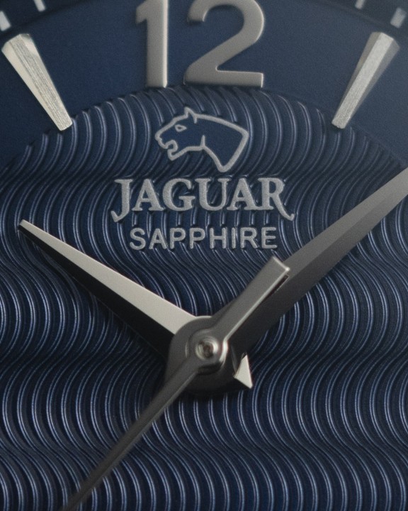 Bild von Jaguar Acamar