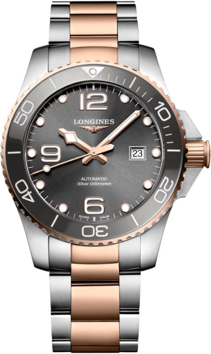 Bild von Longines HydroConquest