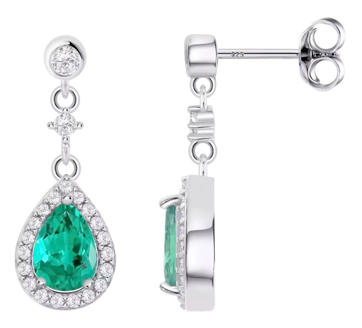 Bild von Ohrring Lotus Silver Colors