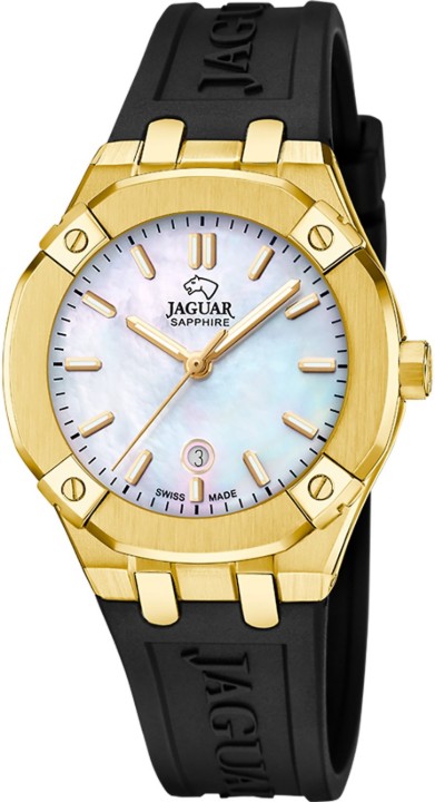 Bild von Jaguar Diplomatic