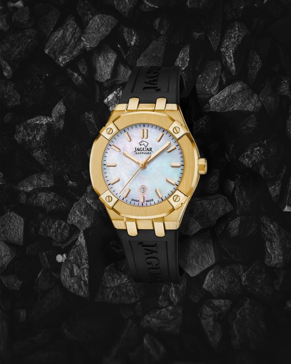 Bild von Jaguar Diplomatic