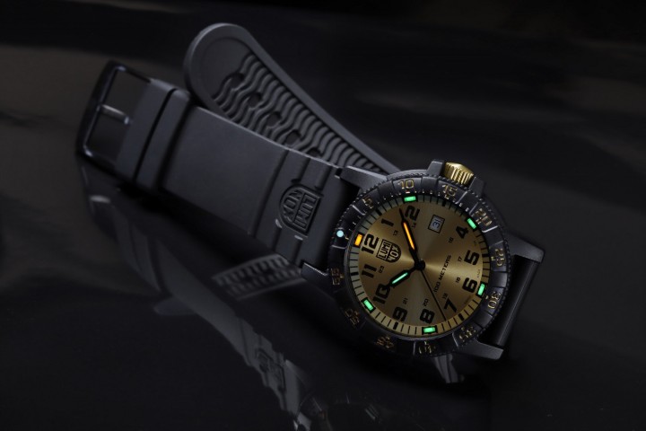 Bild von Luminox Leatherback Sea Turtle Giant 0320 Series