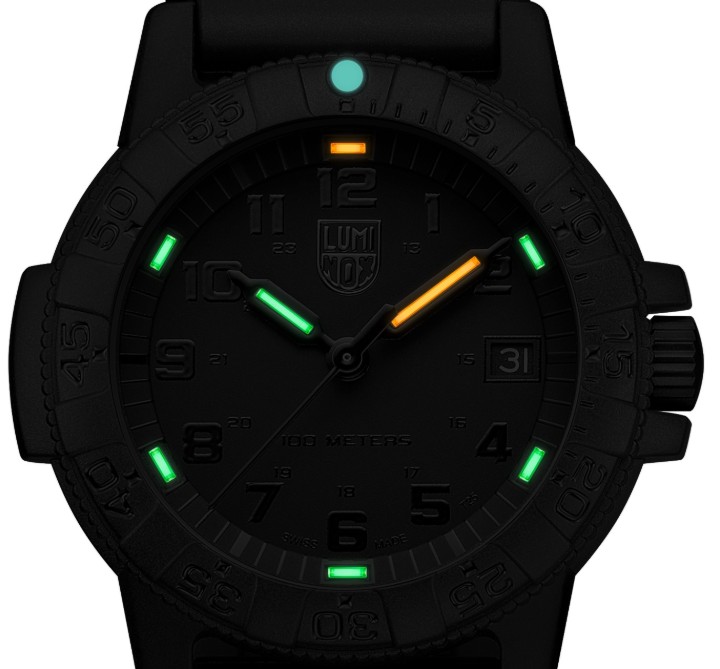 Bild von Luminox Leatherback Sea Turtle 0300 Series