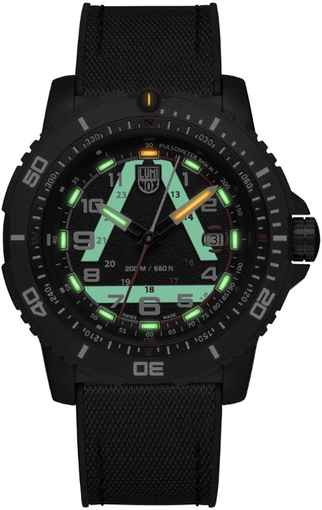 Bild von Luminox ICE-SAR 1080 Series